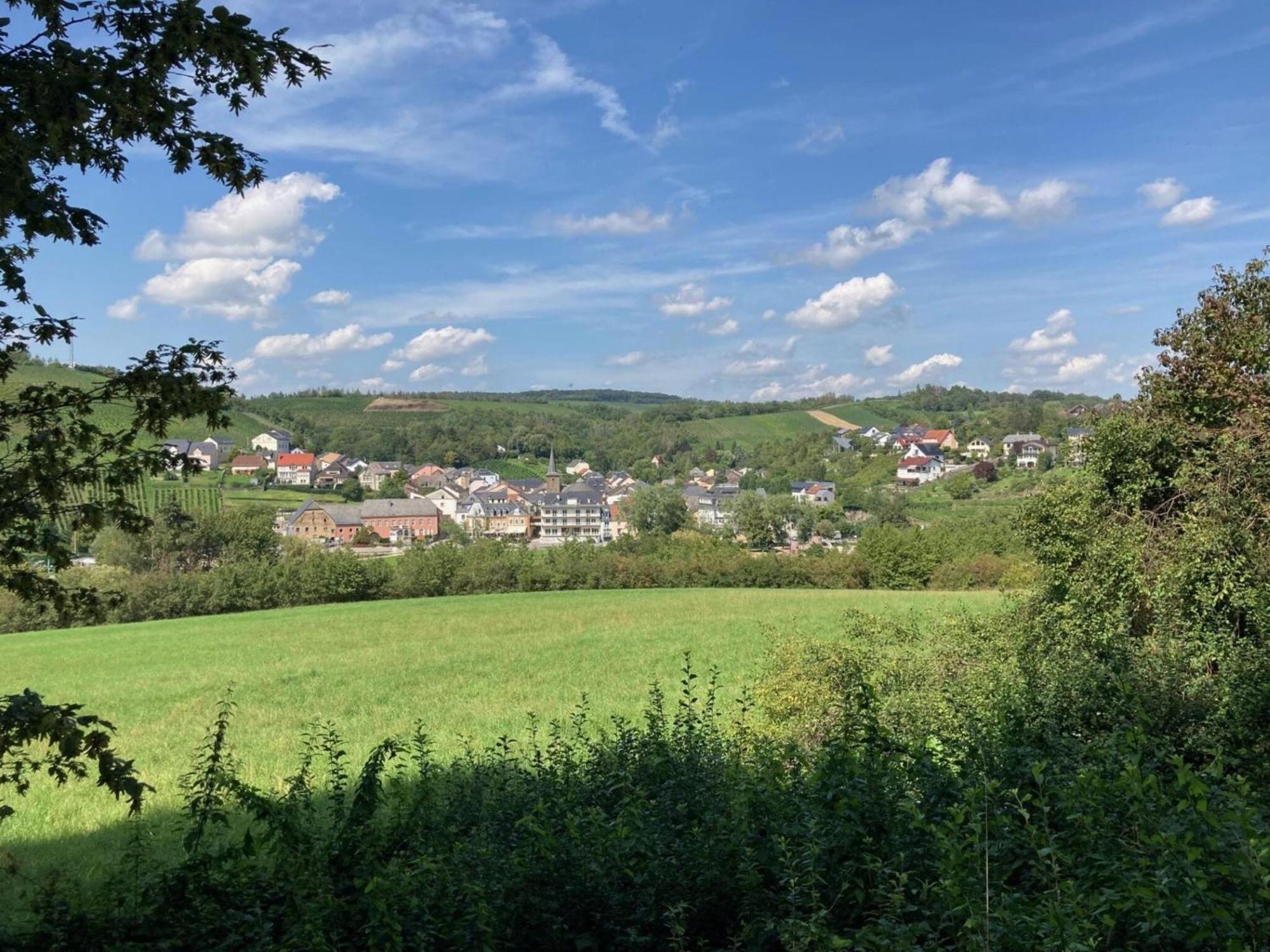 Cosy Holidayhome Near The Forest Zendscheid Bagian luar foto